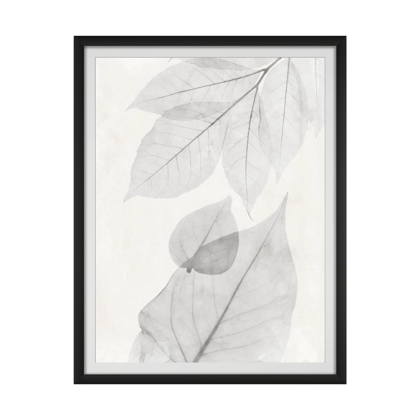 Distilled Botanicals 2