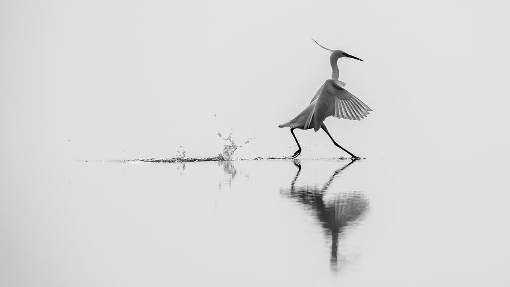 Dancing on water
