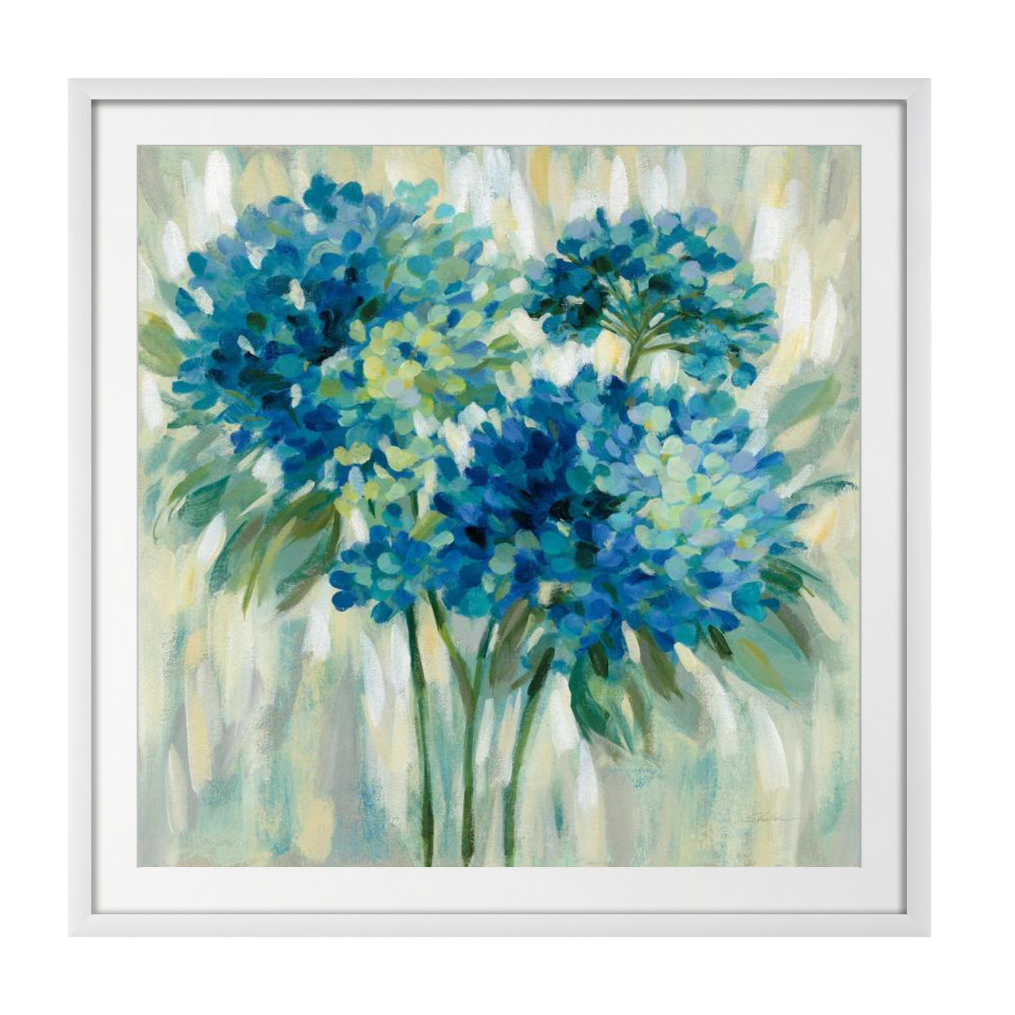Burst of Hydrangeas