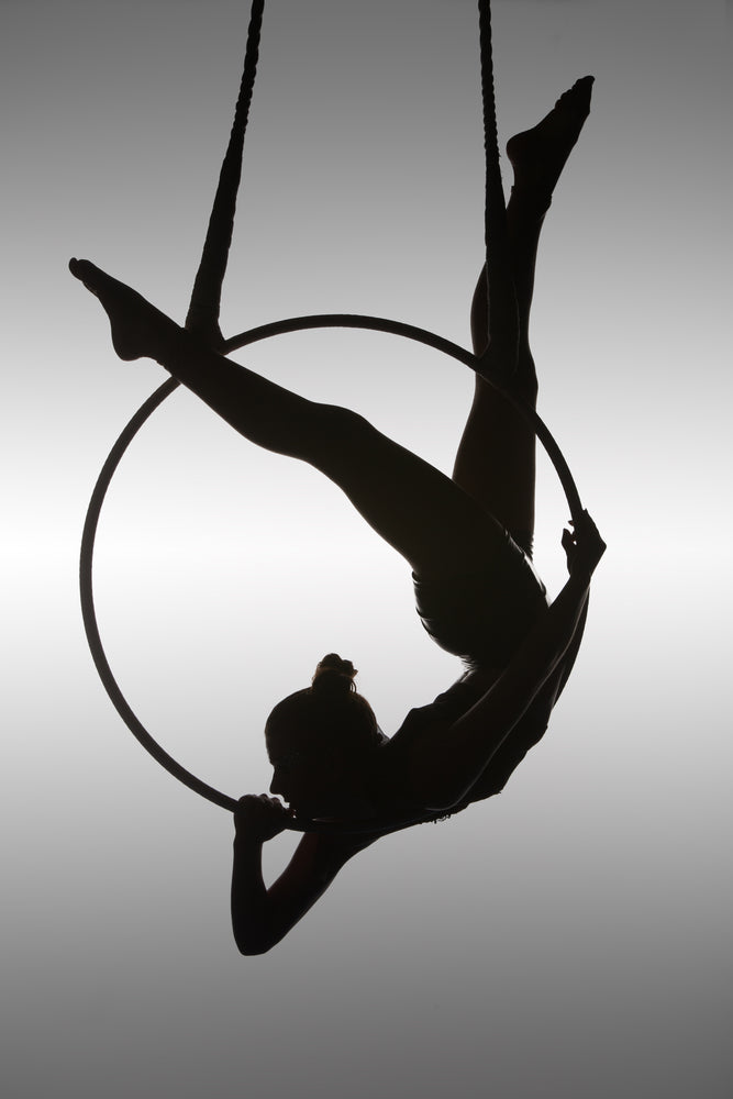 The Aerialist