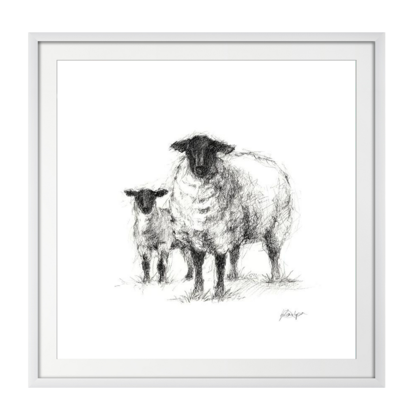 Charcoal Sheep Study I