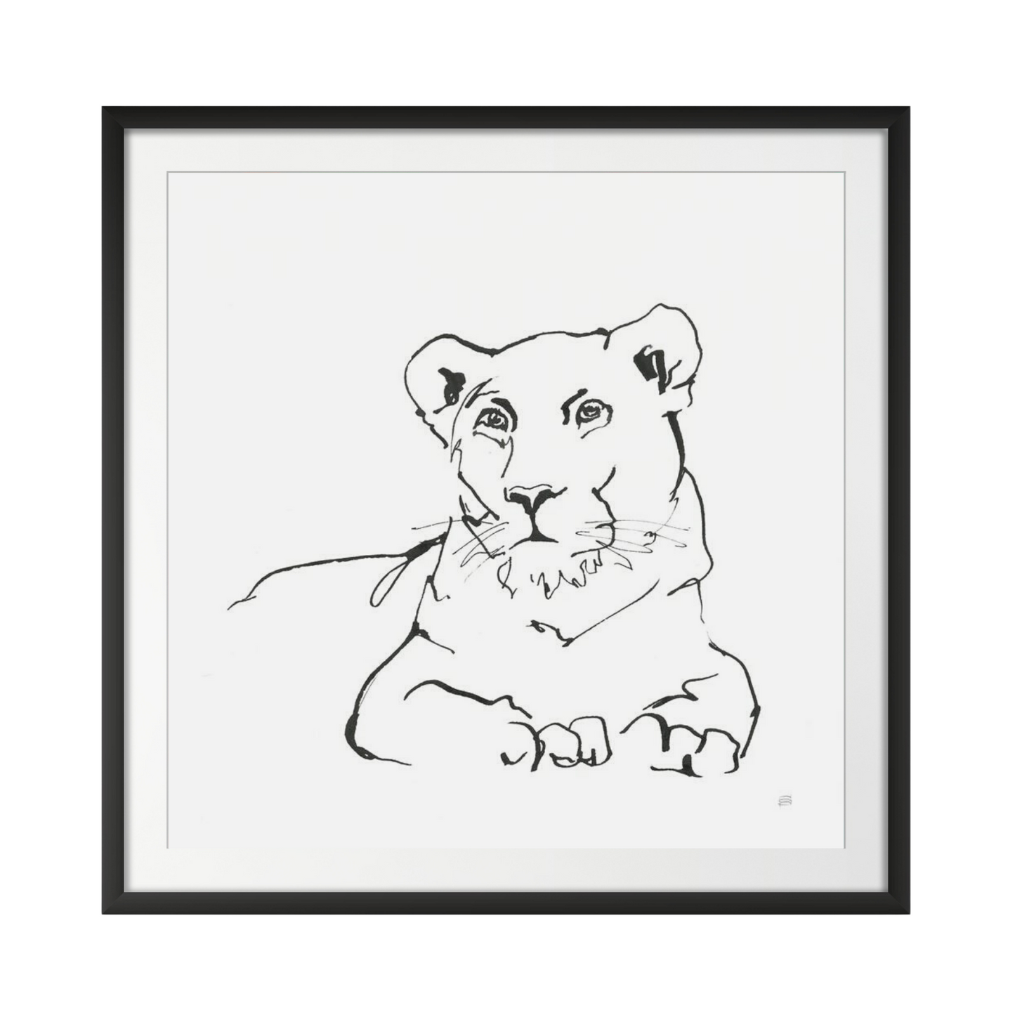 African Animals II