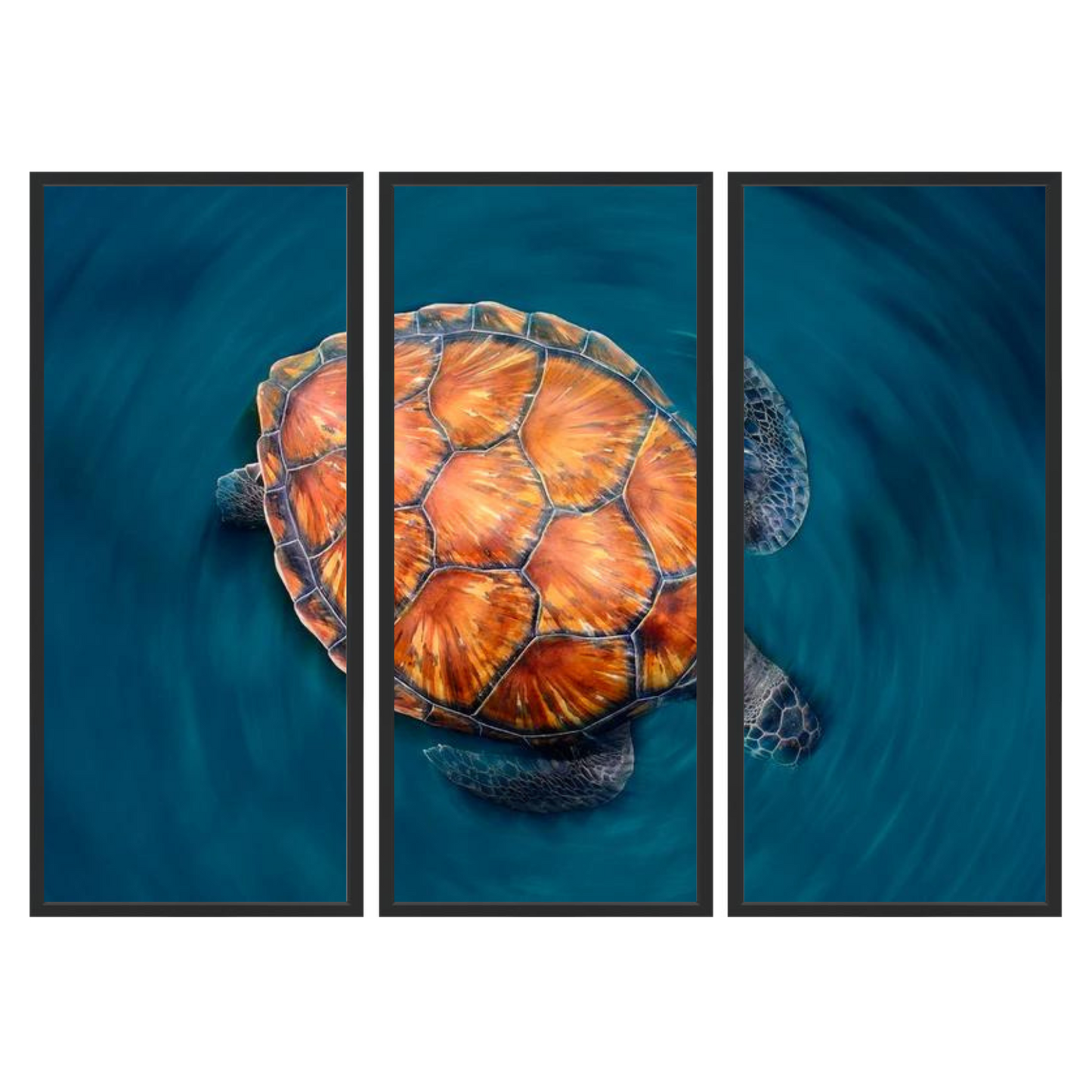 Spin turtle Triptych