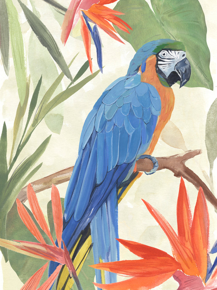 Tropical Parrot Composition IV