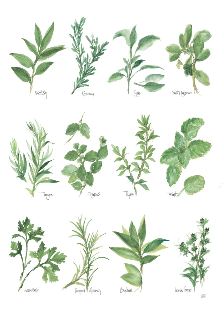 Herb Chart