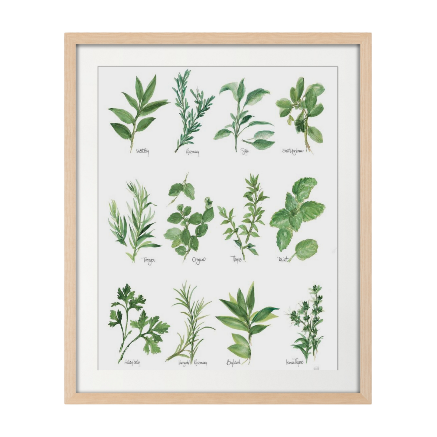 Herb Chart