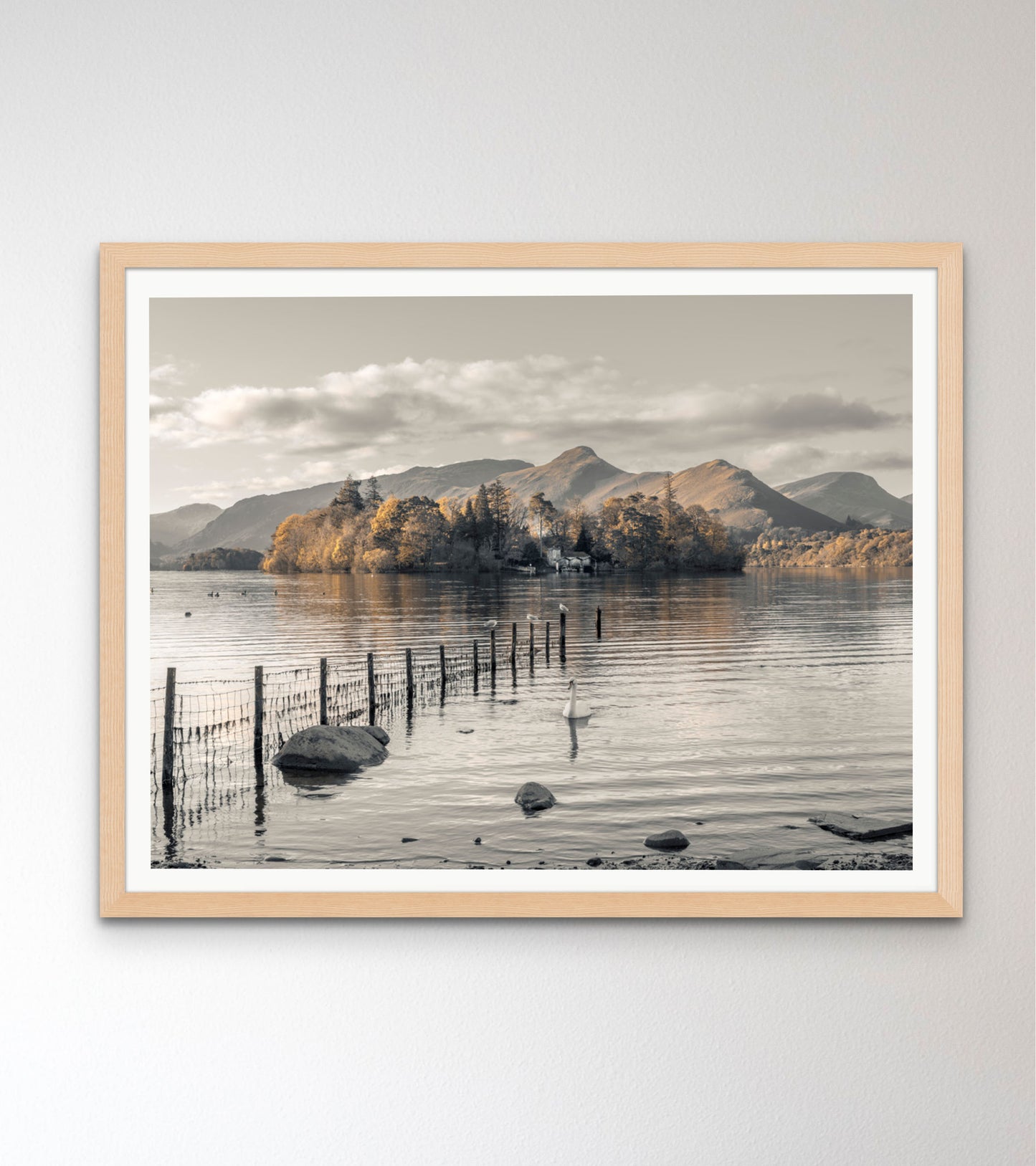 Morning at Derwent island, Derwentwater