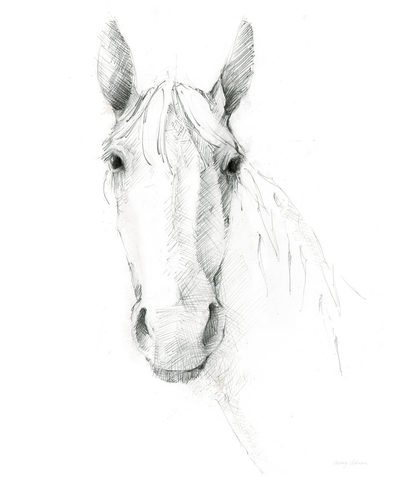 Horse Sketch
