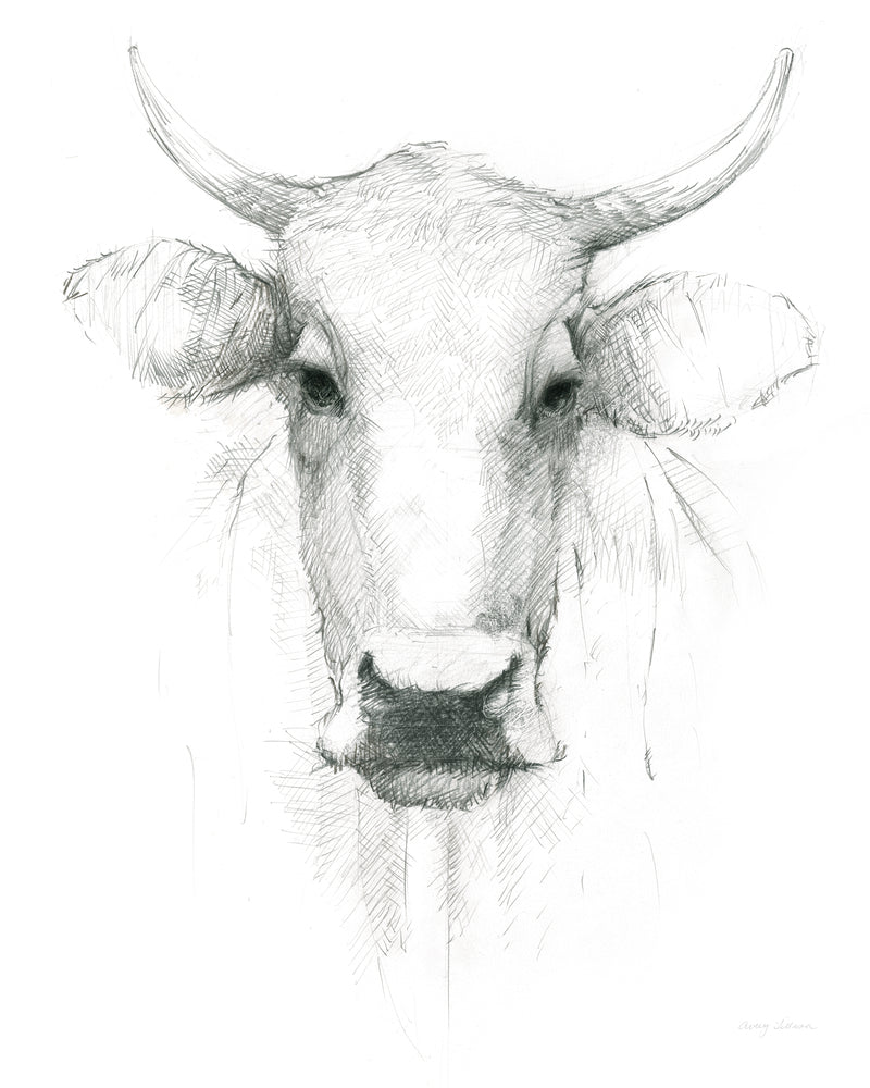 Cow Sketch