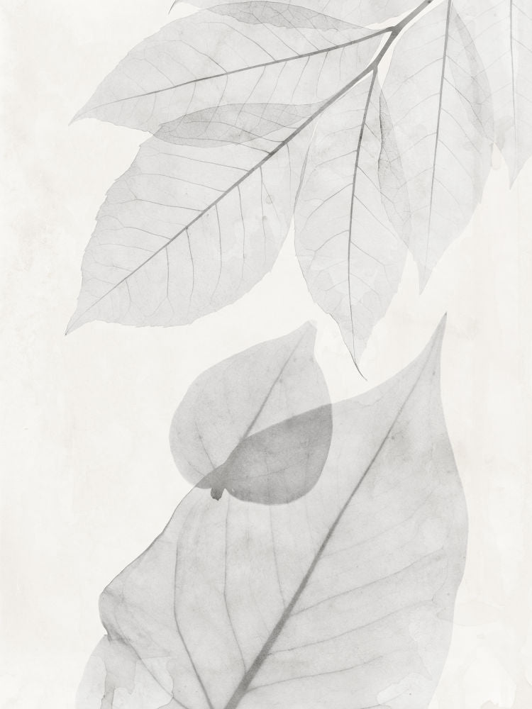 Distilled Botanicals 2