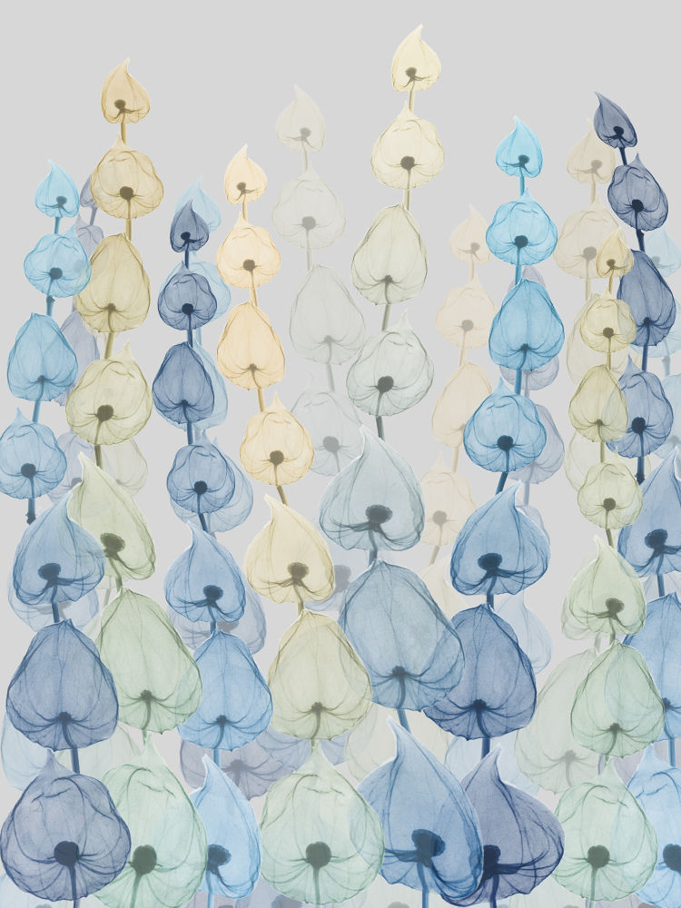 Lantern Forest 3