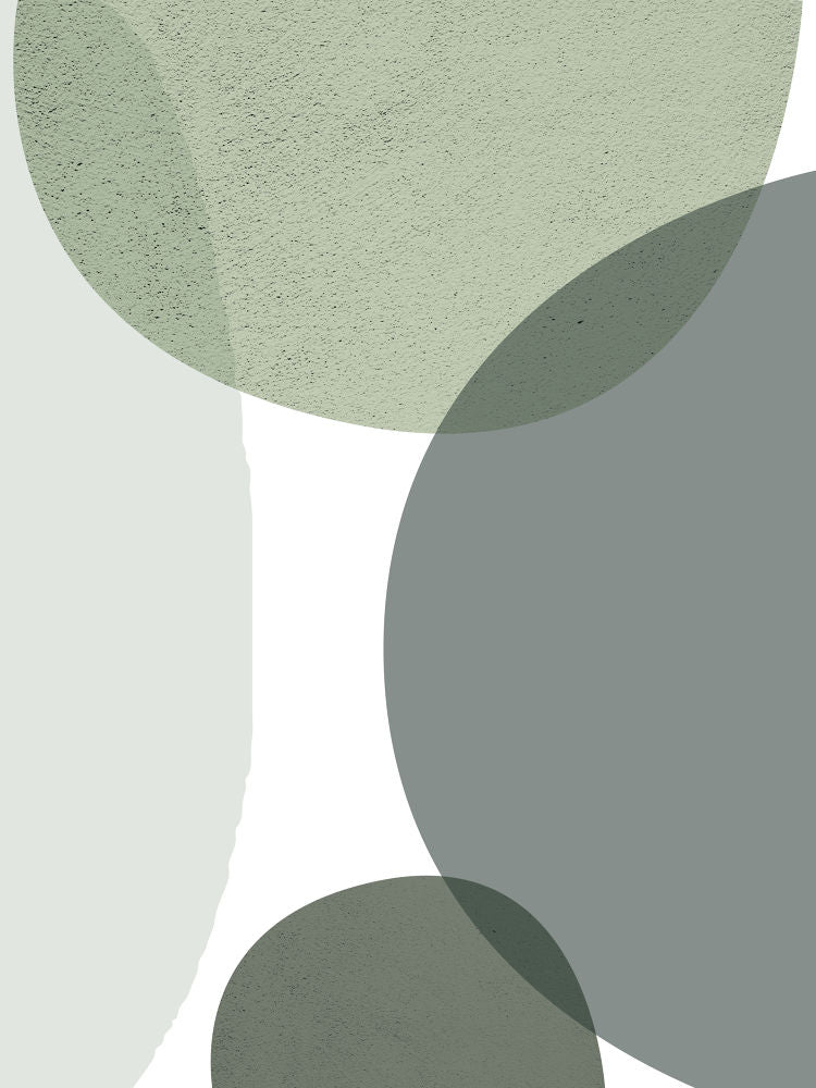MidCentury ColorDew3
