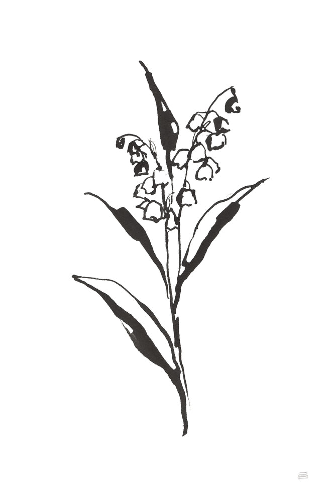 Line Lily of the Valley II
