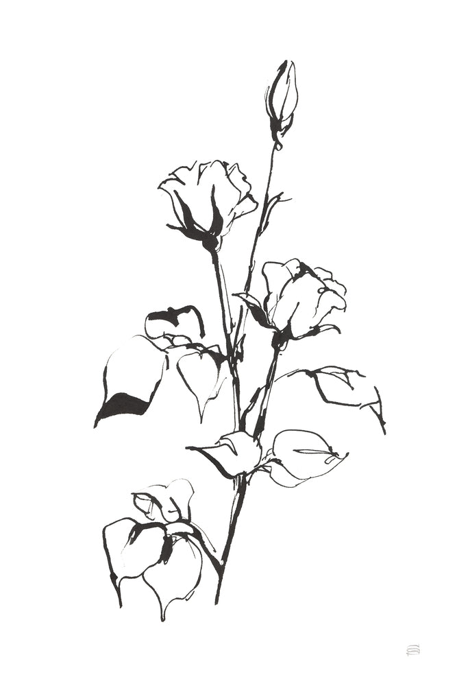 Line Rosebuds