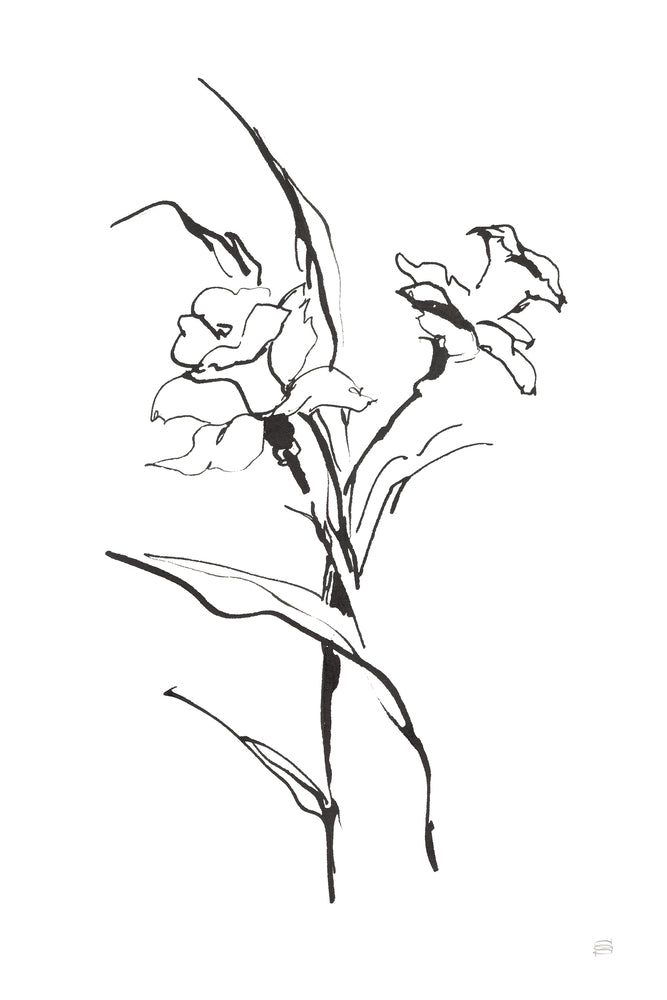 Line Daffodil