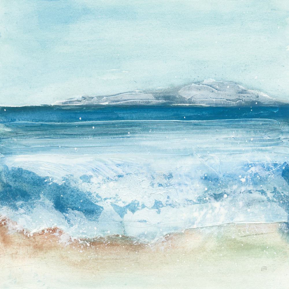 Coastal IV