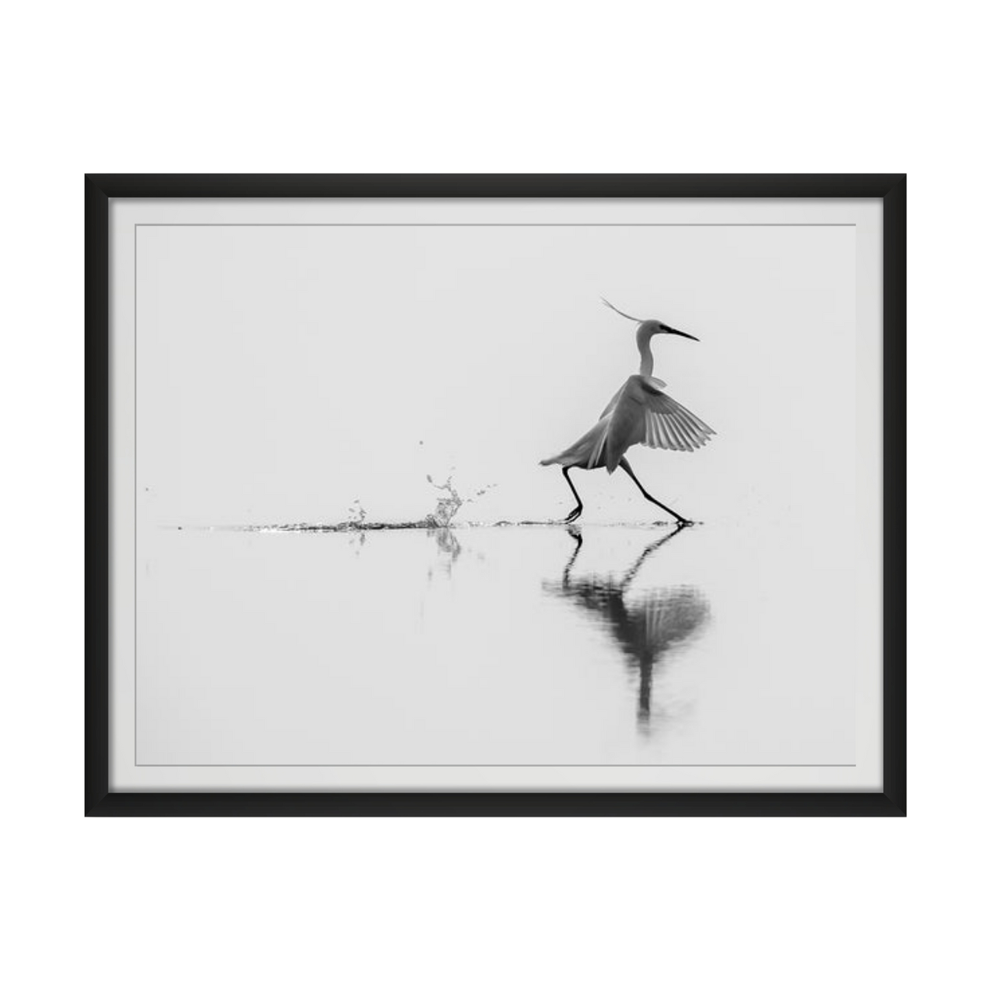Dancing on water