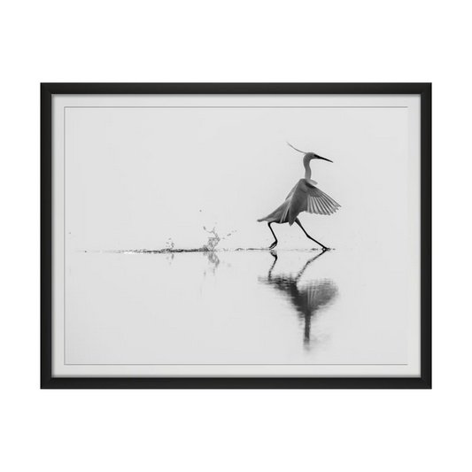 Dancing on water