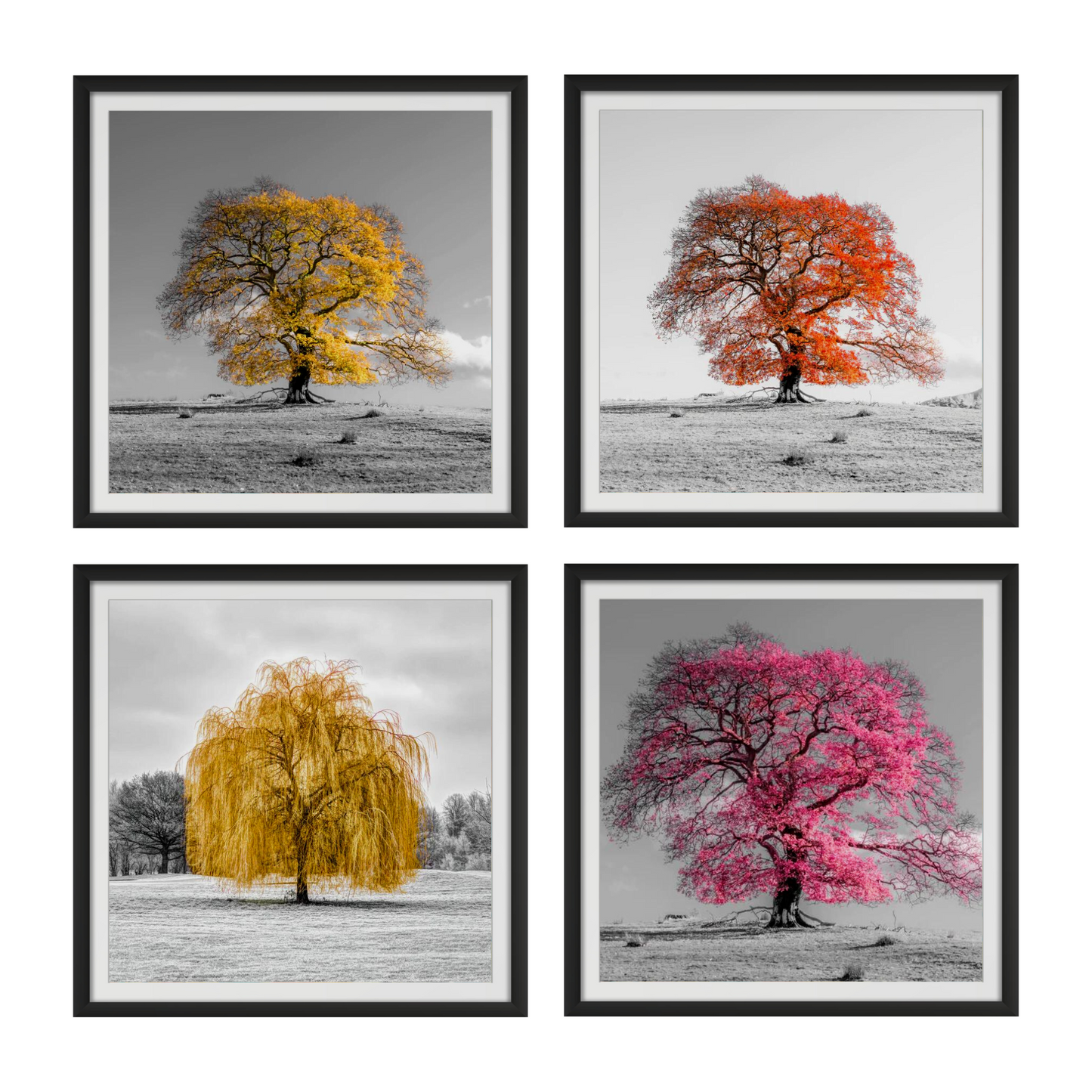 Tree on a hill, orange