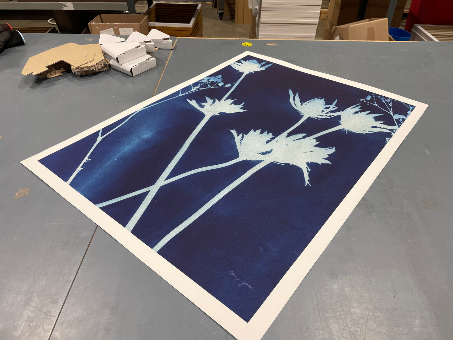 Enchanted Cyanotype I