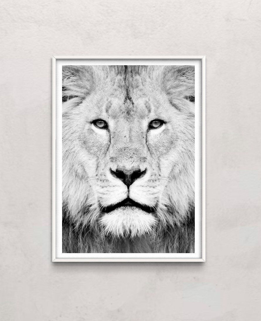 Lion Portrait Print B&W