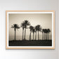 Palm trees on beach of Dead sea, Israel
