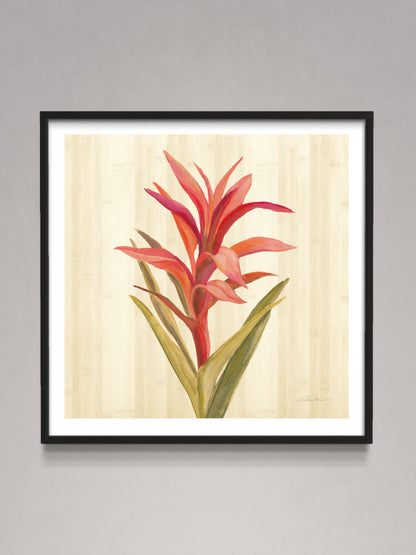Tropical Garden III