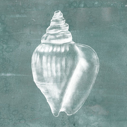 Solitary Shell II