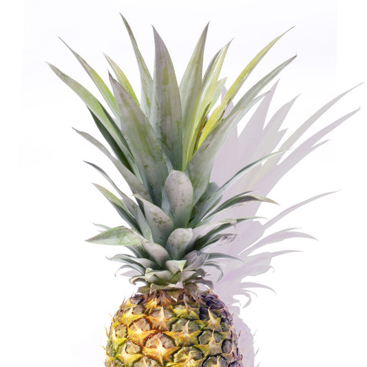 Pineapple Top