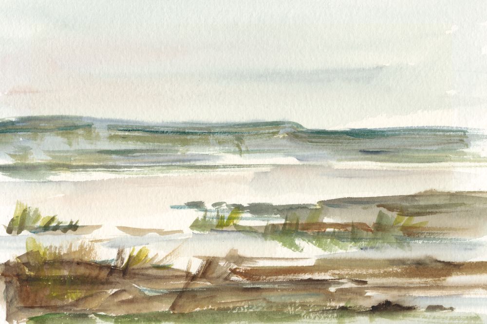 Overcast Wetland II