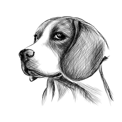 Dog head hand drawn sketch