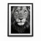 Royal portrait
