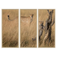I've Got it Mum Triptych