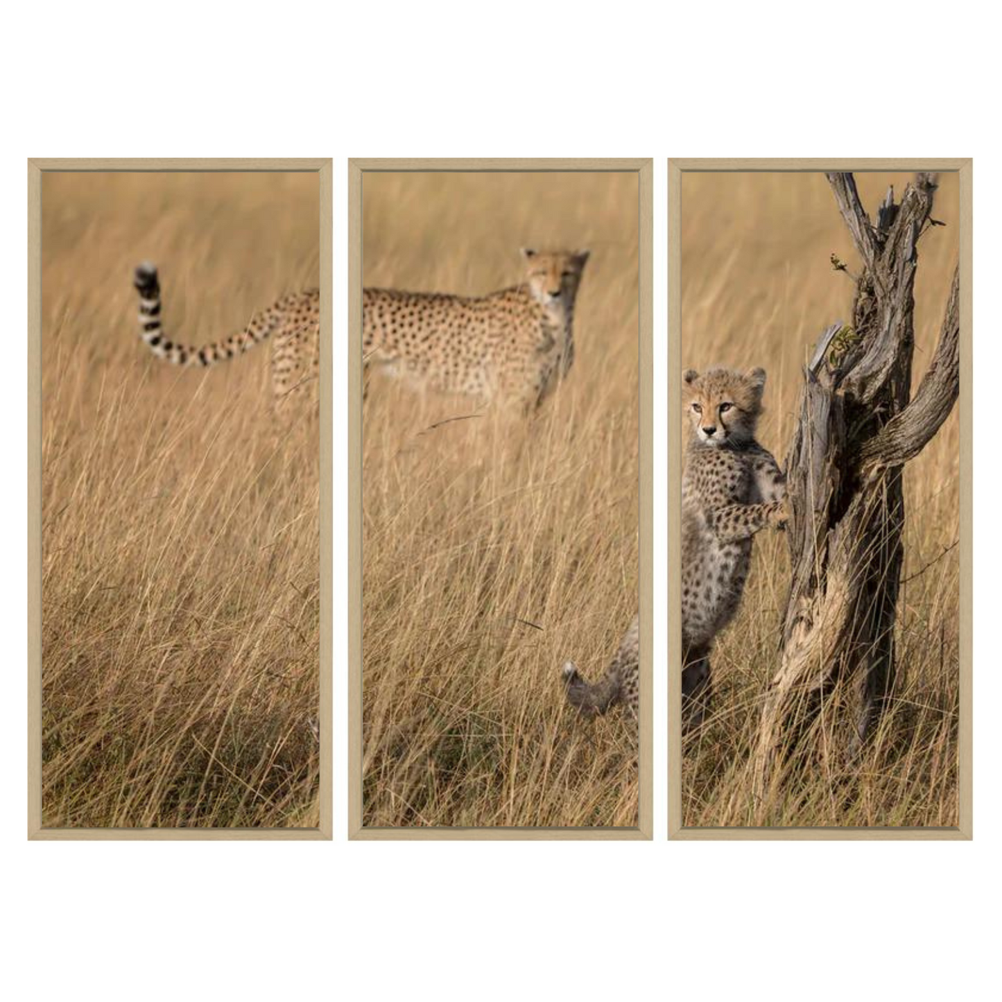 I've Got it Mum Triptych