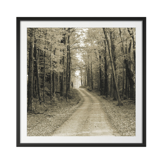 Vermont Country Road Sepia Crop