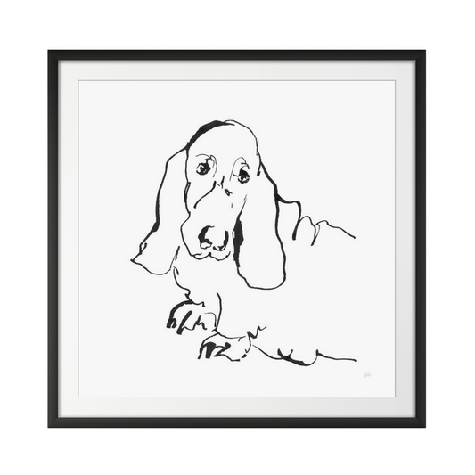 Line Dog Basset Hound