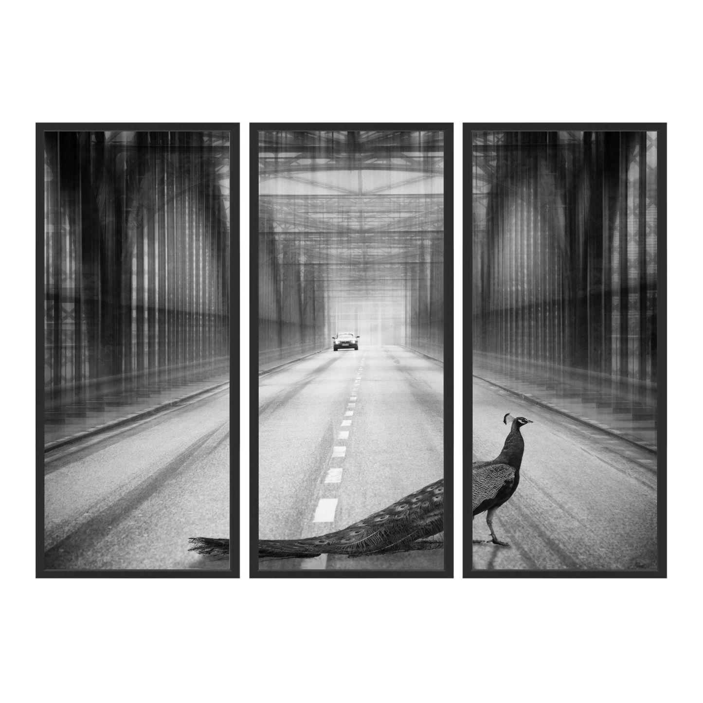 peacock on the bridge Triptych