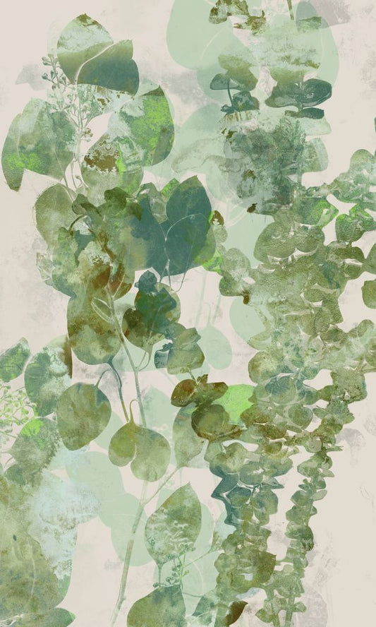 Watercolor Eucalyptus II