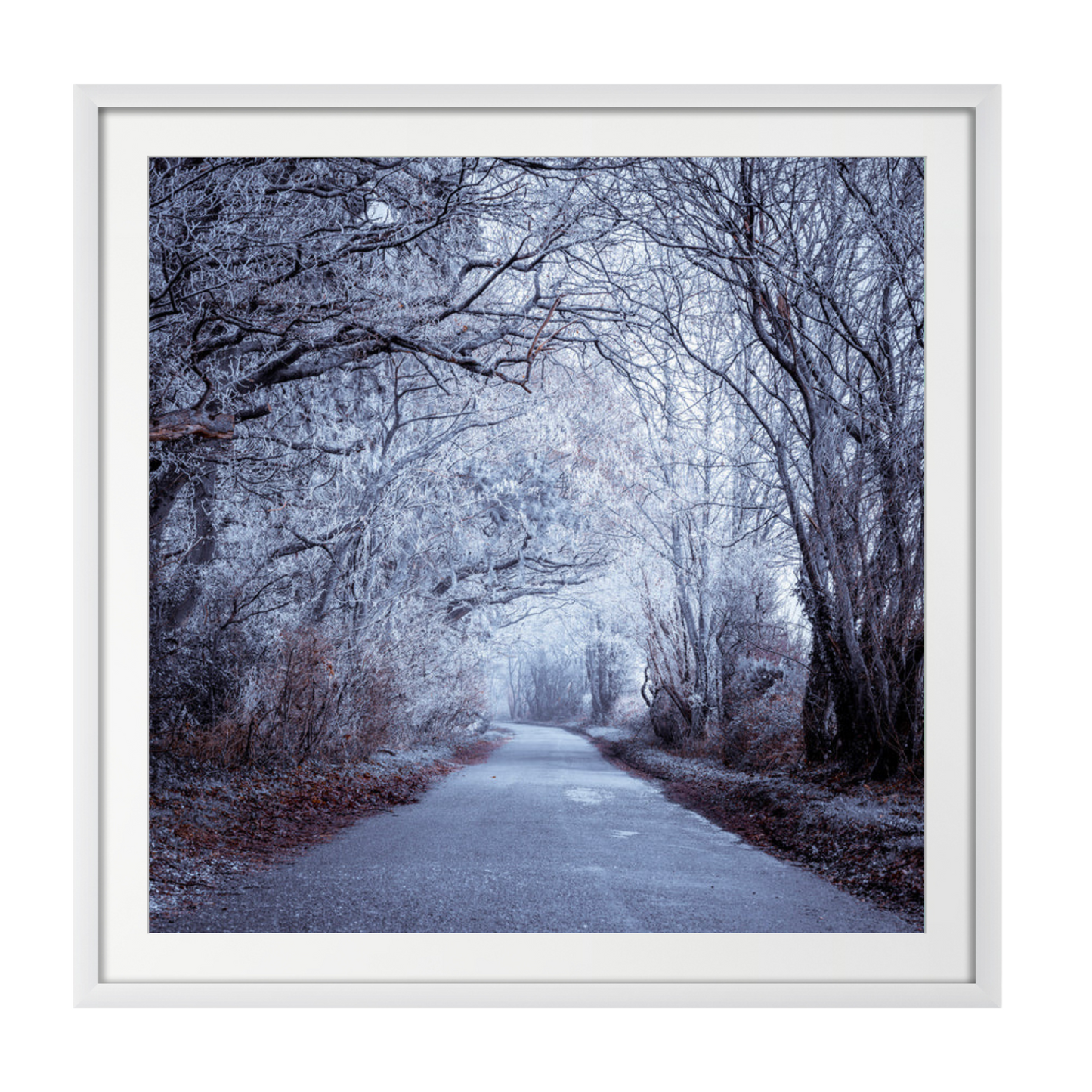 Frosted road