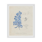 Blue Marine Algae VI