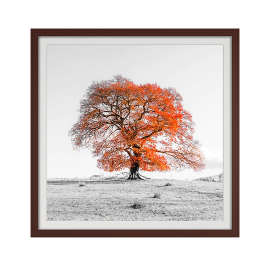 Tree on a hill, orange