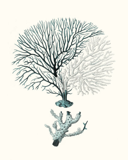 Antique Coastal Coral III