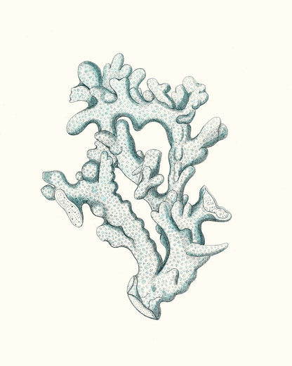 Antique Coastal Coral IV