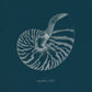 Shell Study on Teal II