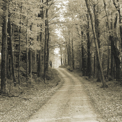 Vermont Country Road Sepia Crop