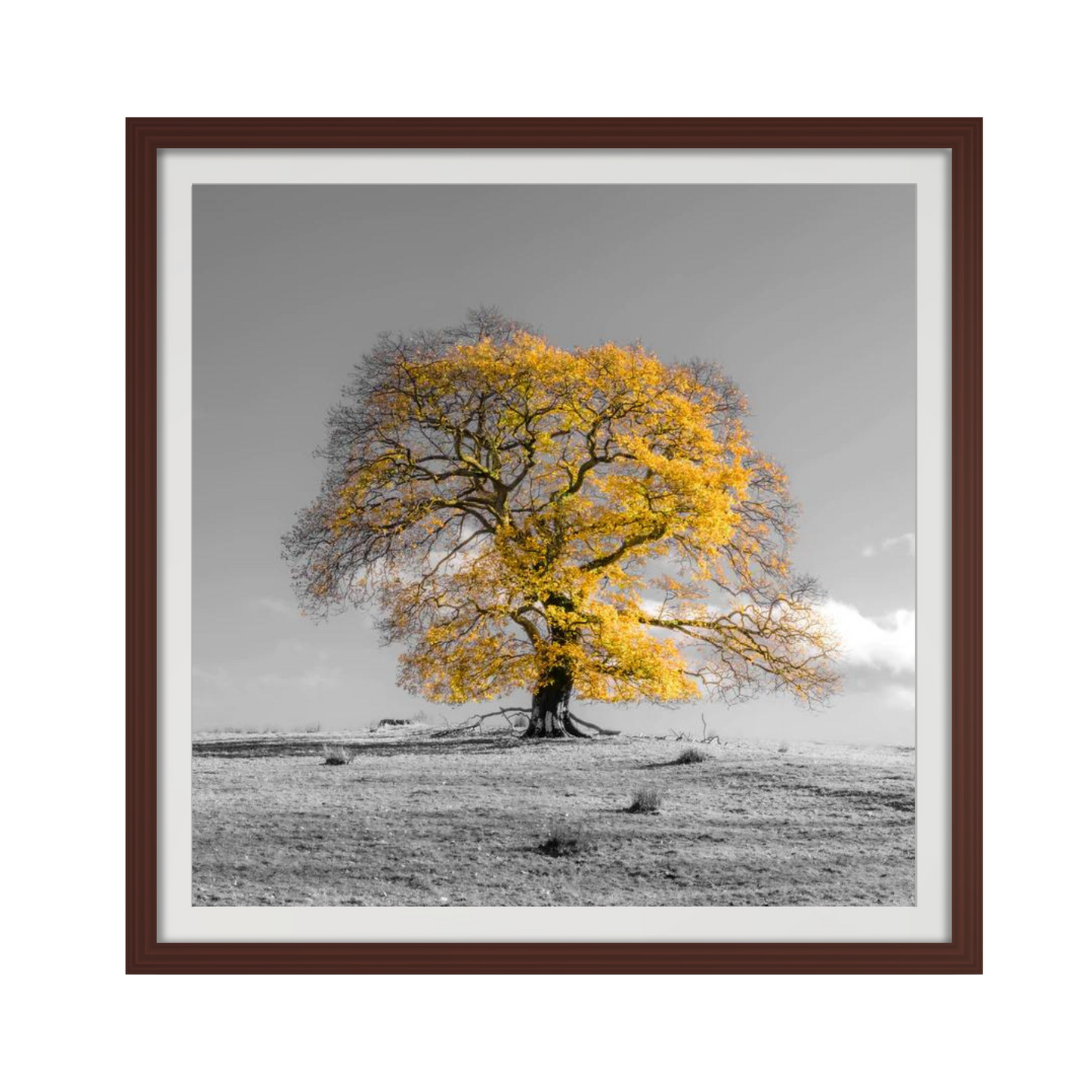 Tree on a hill, yellow, gold