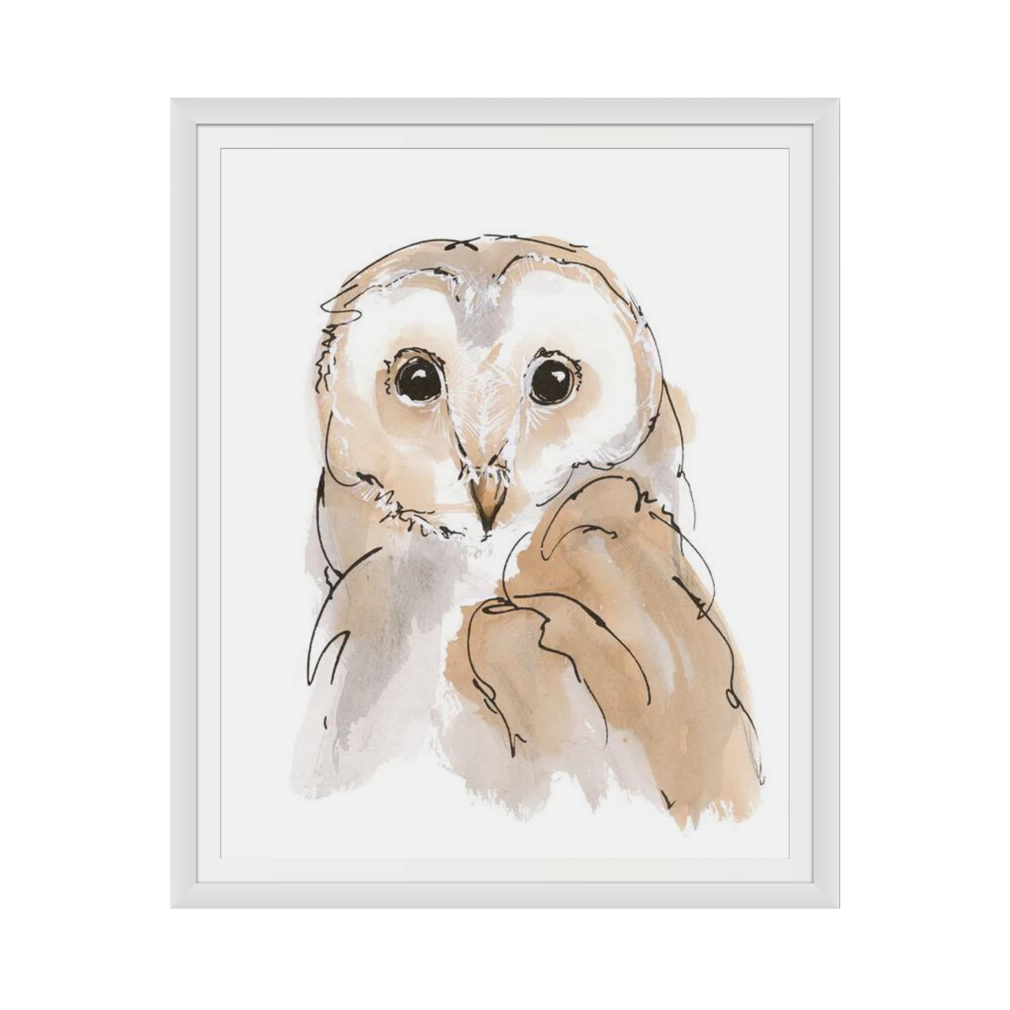 Barn Owl II