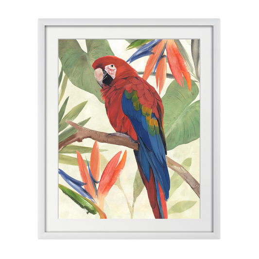 Tropical Parrot Composition II