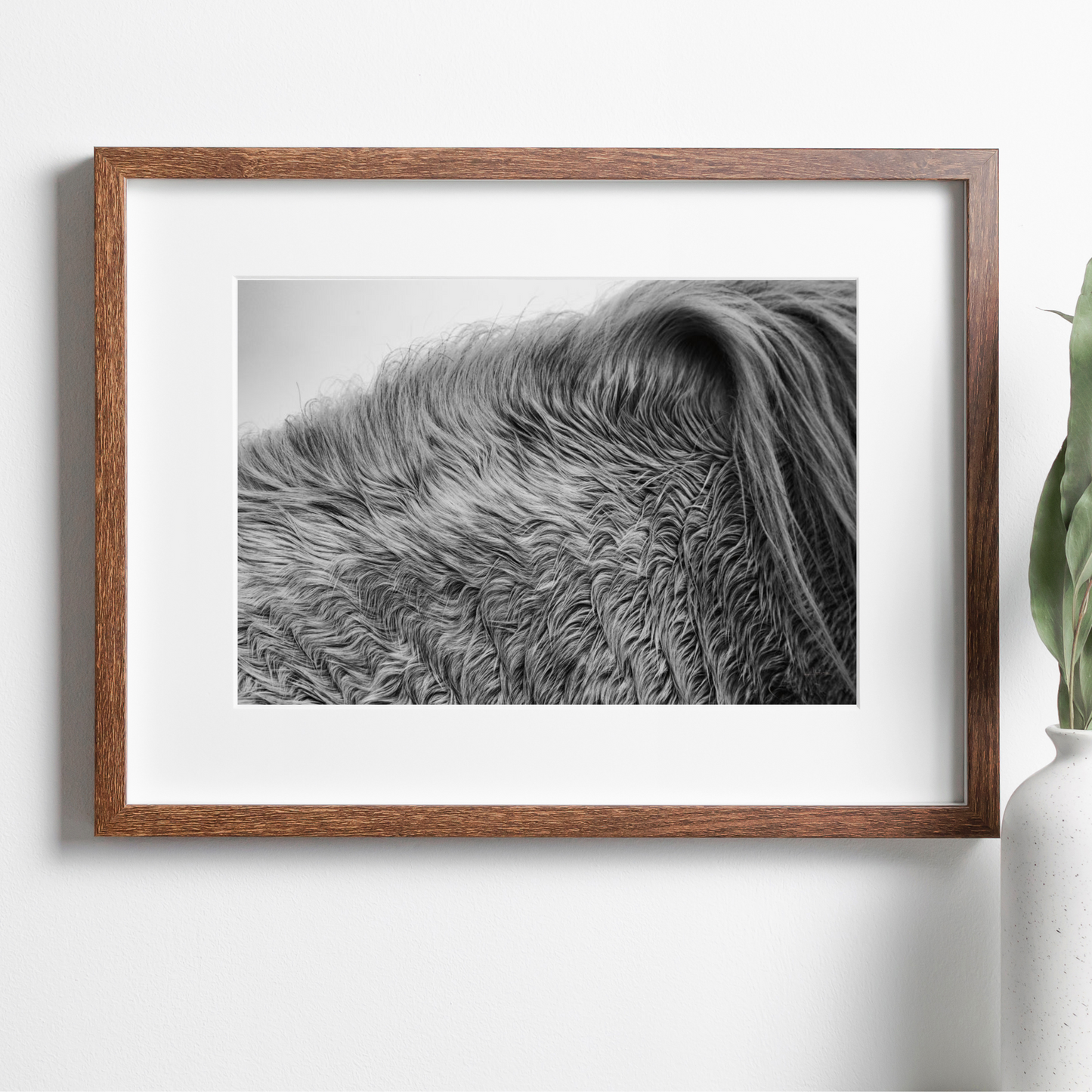 Horse Hair