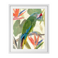 Tropical Parrot Composition I